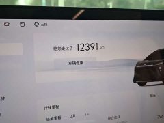 Buick Zhijing Shijia Luxury Edition - ფოტო 8