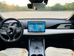 BYD Seal 06 DM-i 120KM Honor Edition - ფოტო 10
