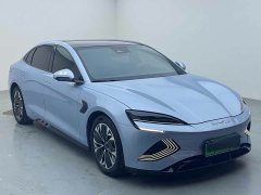 BYD Seal Champion Edition 550km Luxury - ფოტო 3