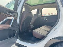 BMW X1 xDrive25Li M Sport Package - ფოტო 5
