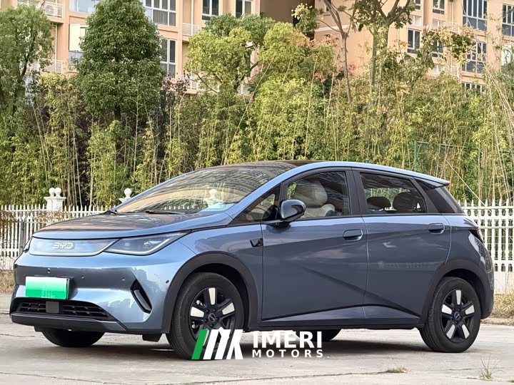 BYD Dolphin 2025 Smart Drive 410km Fashion Edition - ავტომობილი ჩინეთიდან