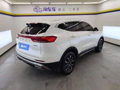 Haval H6 National Trend Edition 1.5T Automatic Urban Version - ფოტო 3