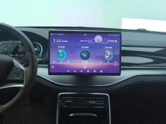 BYD Tang New Energy 2021 DM-i 112KM Premium Edition - ფოტო 13