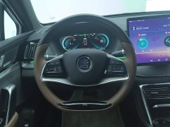 BYD Tang New Energy 2021 DM-i 112KM Premium Edition - ფოტო 15
