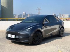 Tesla Model Y Rear-Wheel Drive - ფოტო 1