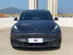 Tesla Model Y Rear-Wheel Drive - ფოტო 2