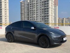 Tesla Model Y Rear-Wheel Drive - ფოტო 3