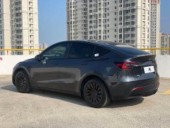 Tesla Model Y Rear-Wheel Drive - ფოტო 4
