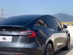 Tesla Model Y Rear-Wheel Drive - ფოტო 6