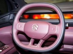 NIO ES8 Six-Seat Executive Signature Edition - ფოტო 15