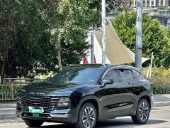 Jetour Dasheng i-DM 1.5T DHT Lightning 02 - ფოტო 1