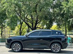 Jetour Dasheng i-DM 1.5T DHT Lightning 02 - ფოტო 3