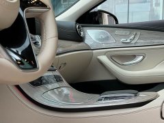 Mercedes-Benz CLS 300 Dynamic - ფოტო 10