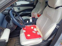 BYD Yuan Plus 430KM Premium Edition - ფოტო 11