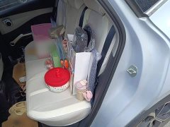 BYD Yuan Plus 430KM Premium Edition - ფოტო 13