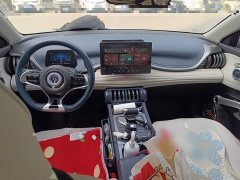 BYD Yuan Plus 430KM Premium Edition - ფოტო 5