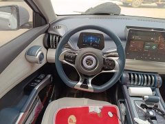 BYD Yuan Plus 430KM Premium Edition - ფოტო 6