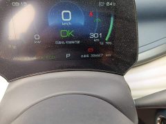 BYD Yuan Plus 430KM Premium Edition - ფოტო 8
