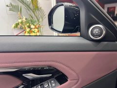 Land Rover Range Rover Evoque Range Rover Evoque L SE - ფოტო 13