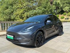 Tesla Model Y Long Range All-Wheel Drive - ფოტო 1