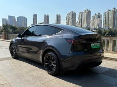 Tesla Model Y Long Range All-Wheel Drive - ფოტო 12