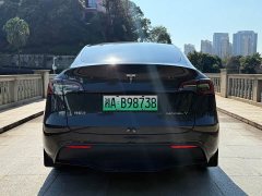Tesla Model Y Long Range All-Wheel Drive - ფოტო 13