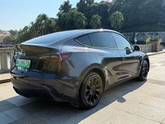 Tesla Model Y Long Range All-Wheel Drive - ფოტო 14