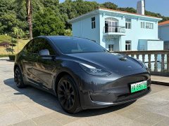 Tesla Model Y Long Range All-Wheel Drive - ფოტო 3