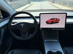 Tesla Model Y Long Range All-Wheel Drive - ფოტო 9