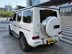 Mercedes-Benz G-Class G 450 d Korean Spec - ფოტო 10