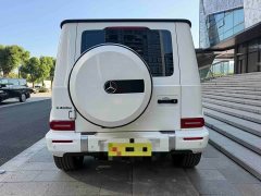 Mercedes-Benz G-Class G 450 d Korean Spec - ფოტო 11
