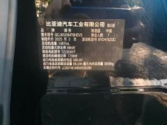 Denza BYD Denza D9 2024 DM-i 1050 Premium - ფოტო 16
