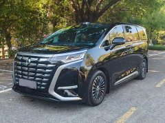 Denza BYD Denza D9 2024 DM-i 1050 Premium - ფოტო 3