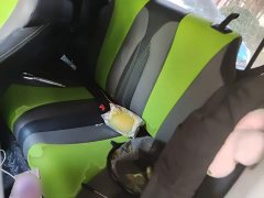 SAIC Corey Wei CLEVER 302km New Four-Seat Super Version - ფოტო 18