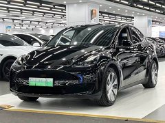Tesla Model Y 2022 Rear-Wheel Drive - ფოტო 1