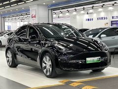Tesla Model Y 2022 Rear-Wheel Drive - ფოტო 3