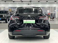 Tesla Model Y 2022 Rear-Wheel Drive - ფოტო 8