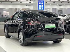 Tesla Model Y 2022 Rear-Wheel Drive - ფოტო 9