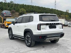 Great Wall Dachshund 2021 2.0T DCT Four-wheel Drive Howling Heavenly Dog Edition - ფოტო 9