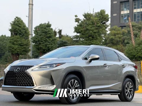 2021 Lexus RX 2020 300 FWD Elite China VI - ავტომობილი ჩინეთიდან