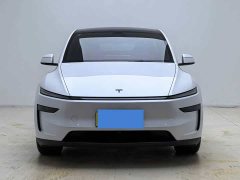 Tesla Model Y Rear-Wheel Drive - ფოტო 2