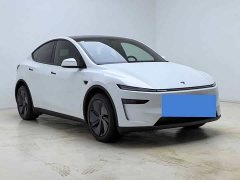 Tesla Model Y Rear-Wheel Drive - ფოტო 3
