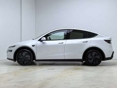 Tesla Model Y Rear-Wheel Drive - ფოტო 5