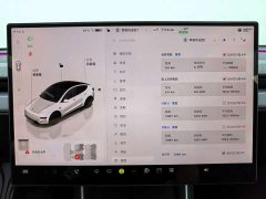Tesla Model Y Rear-Wheel Drive - ფოტო 7