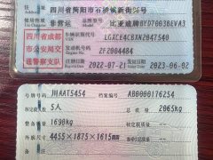 BYD Yuan Plus 510KM Respect and Honor Edition - ფოტო 14