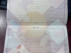 BYD Yuan Plus 510KM Respect and Honor Edition - ფოტო 17