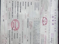 BYD Yuan Plus 510KM Respect and Honor Edition - ფოტო 18
