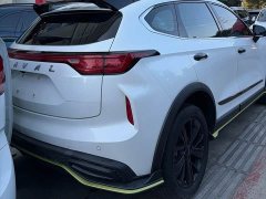 Haval Chitu Turbo Engine Edition 1.5T Platinum - ფოტო 6