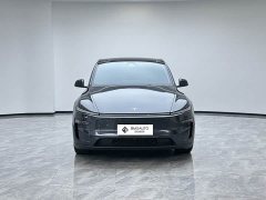Tesla Model Y Rear-Wheel Drive - ფოტო 6