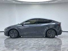 Tesla Model Y Rear-Wheel Drive - ფოტო 8